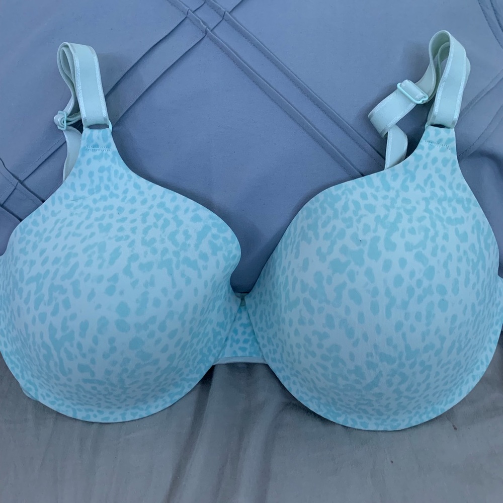 Warner bra